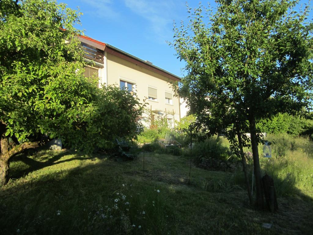 Bnb Moenthal Im Jurapark Exterior foto